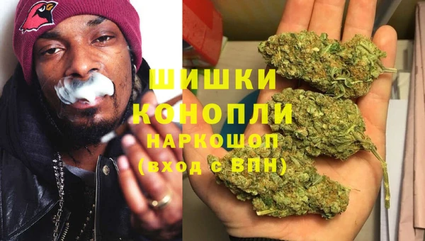 spice Алзамай