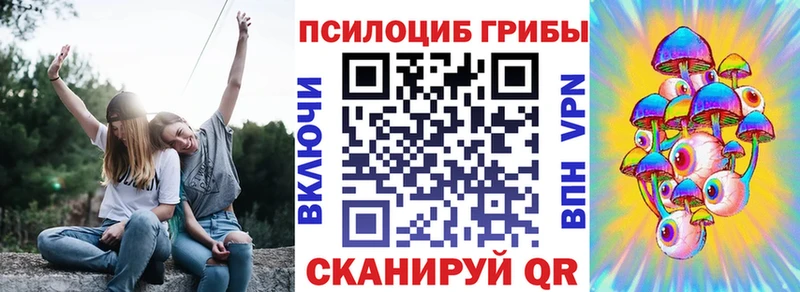 магазин  наркотиков  omg вход  Галлюциногенные грибы прущие грибы  Новосиль 